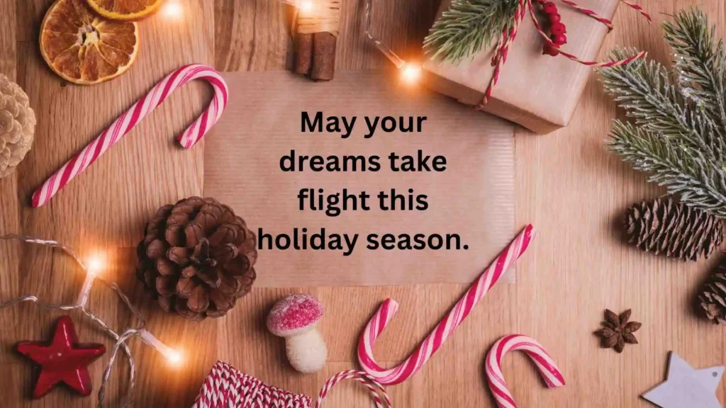 Funny Christmas Card Messages