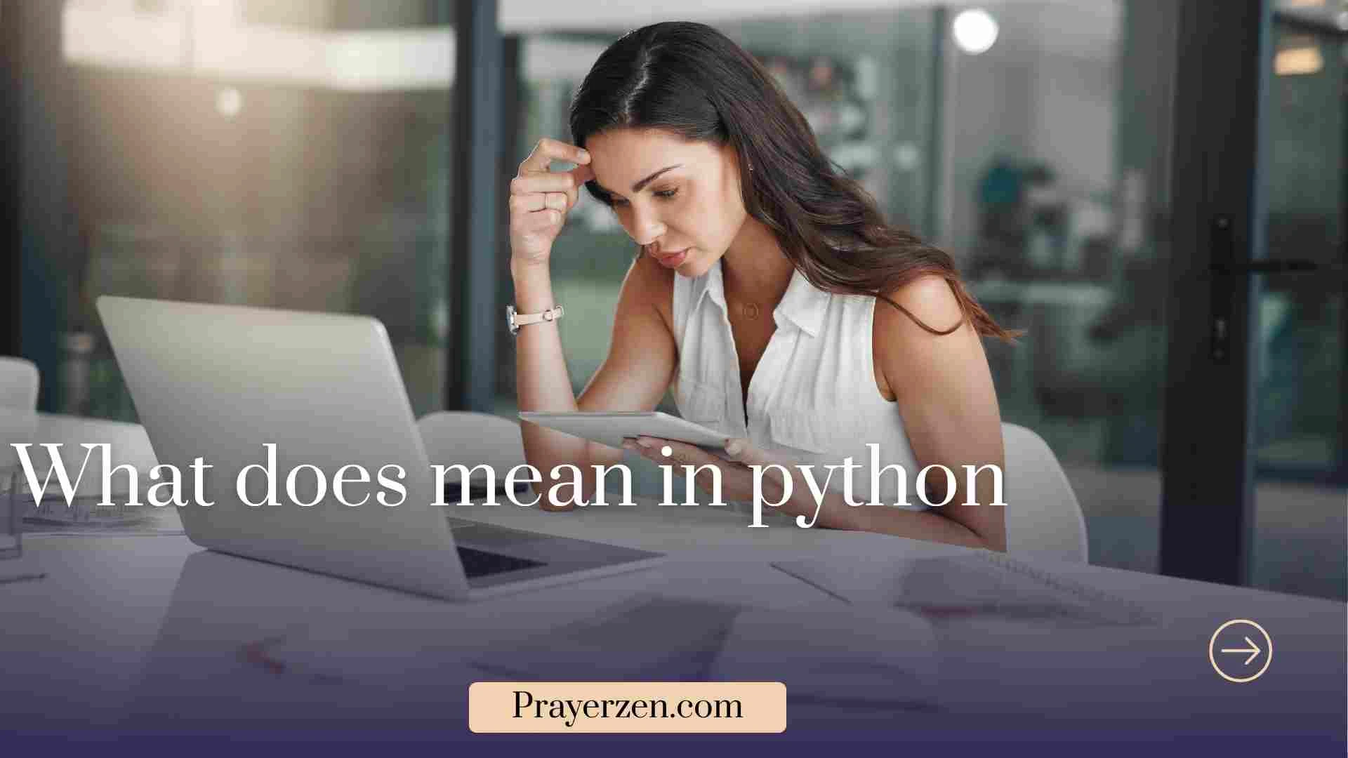 what does mean in python